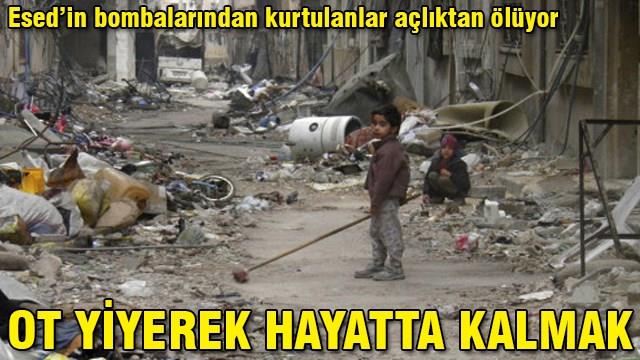 Ot yiyerek hayatta kalmak!