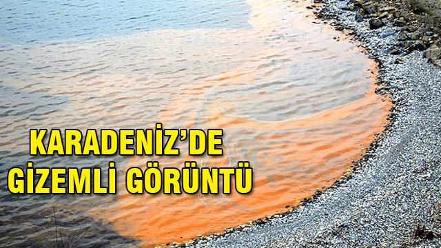 Karadeniz’de gizemli tabaka!