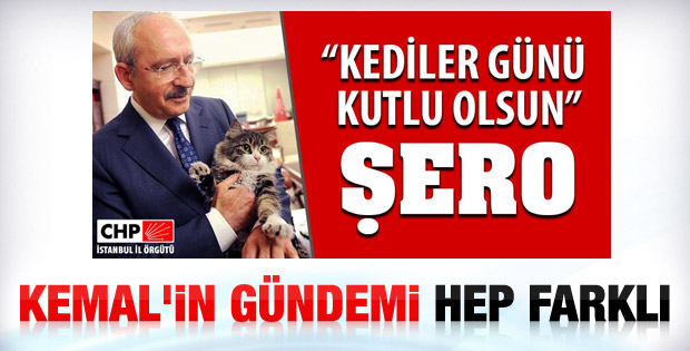 Kılıçdaroğlu’nun gündemi Kediler Günü